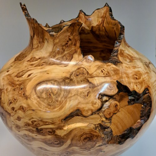 JW-228 Aspen Burl Hollow Woodturning 13.5x11 $1600 at Hunter Wolff Gallery